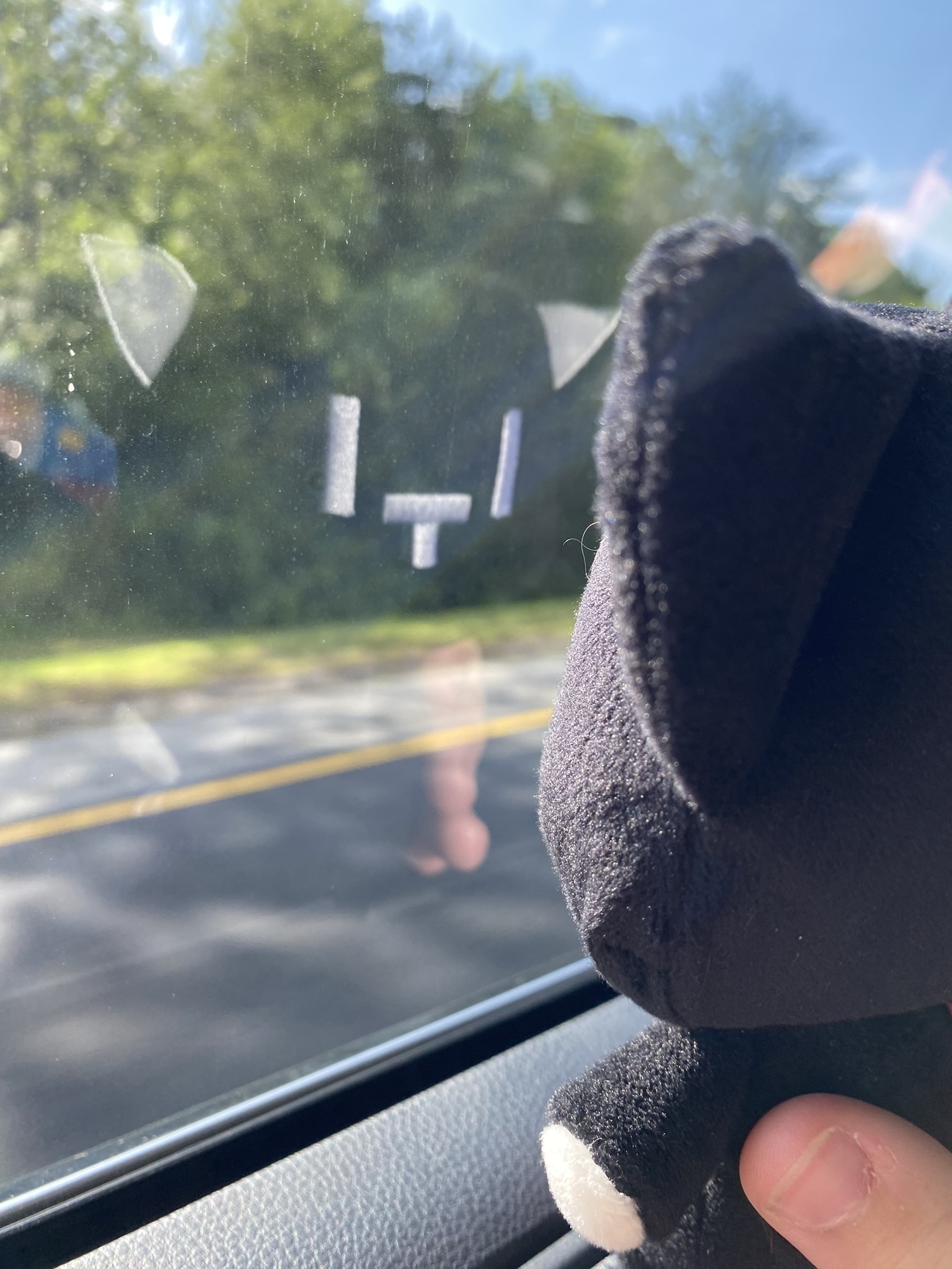 One of my favorites. A photo of my TWEWY cat plush staring at its own reflection in the car window!